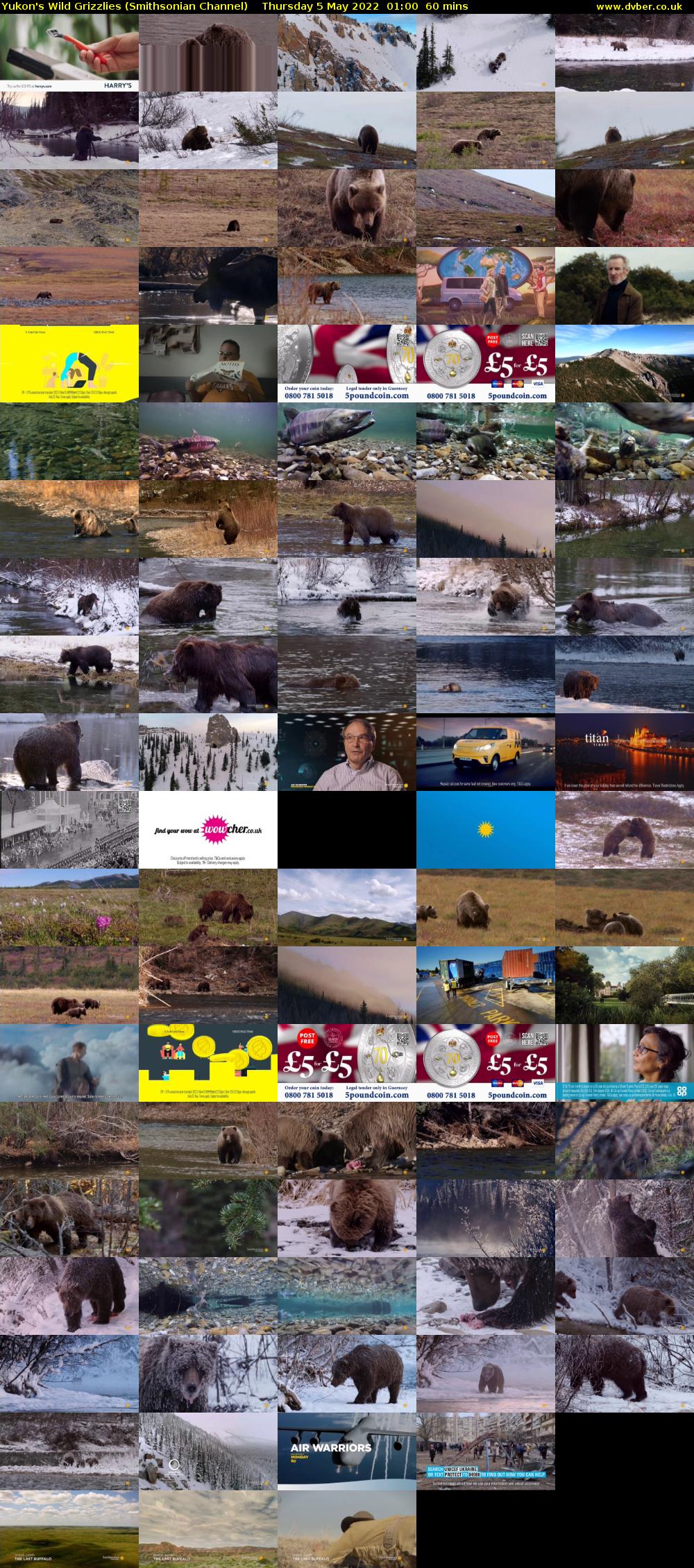Yukon's Wild Grizzlies (Smithsonian Channel) Thursday 5 May 2022 01:00 - 02:00