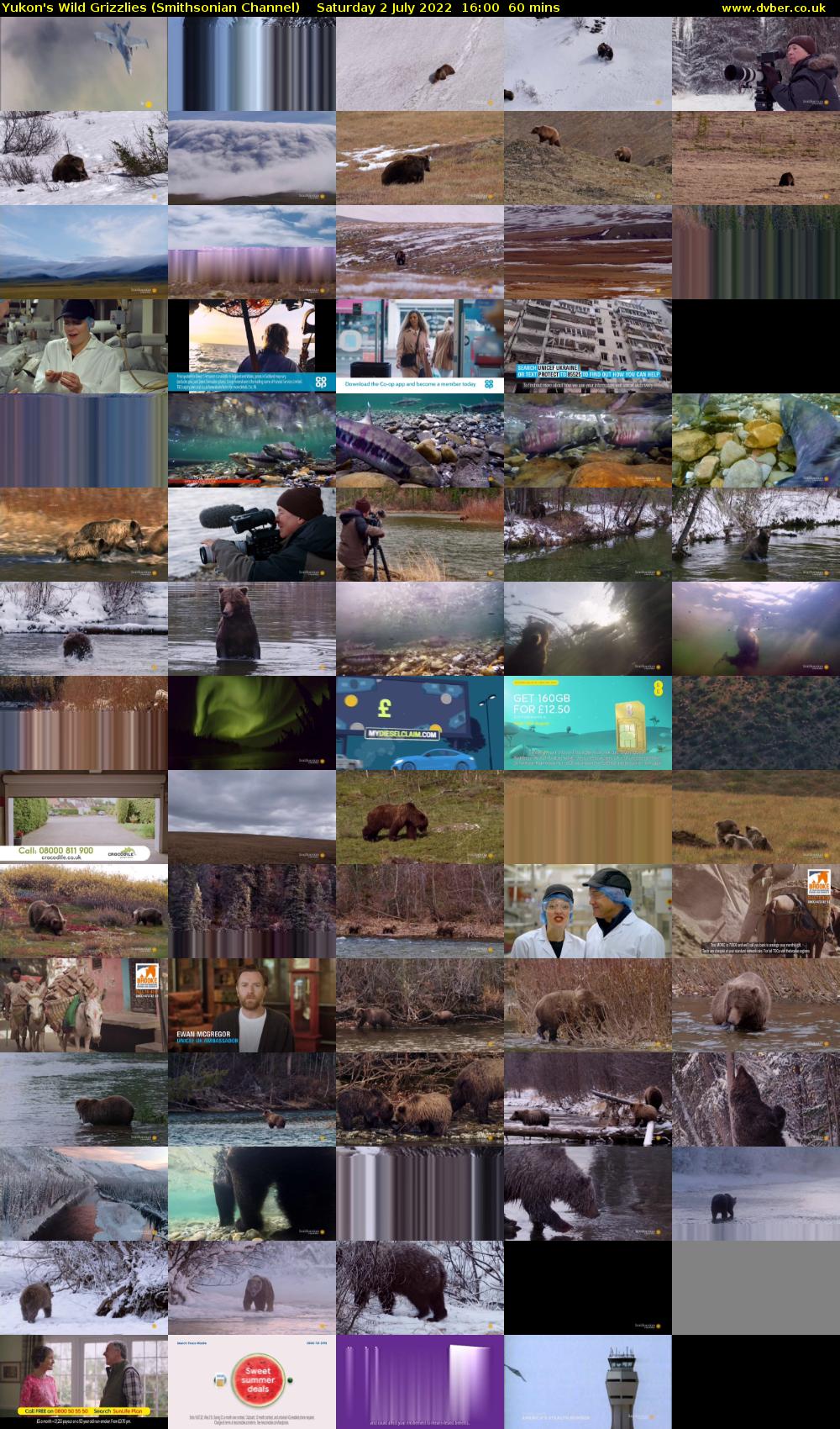 Yukon's Wild Grizzlies (Smithsonian Channel) Saturday 2 July 2022 16:00 - 17:00