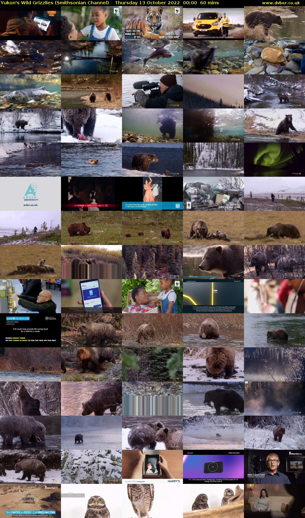Yukon's Wild Grizzlies (Smithsonian Channel) Thursday 13 October 2022 00:00 - 01:00