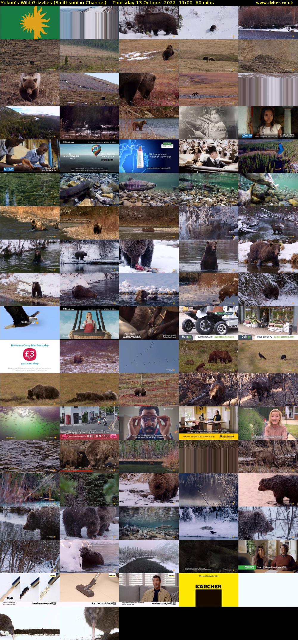 Yukon's Wild Grizzlies (Smithsonian Channel) Thursday 13 October 2022 11:00 - 12:00