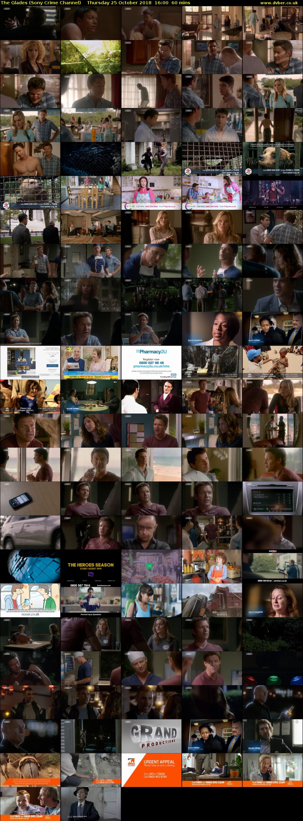 The Glades (Sony Crime Channel) Thursday 25 October 2018 16:00 - 17:00