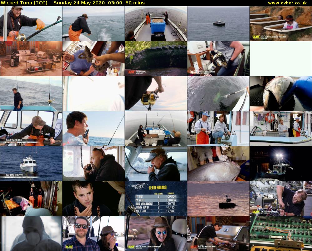 Wicked Tuna (TCC) Sunday 24 May 2020 03:00 - 04:00