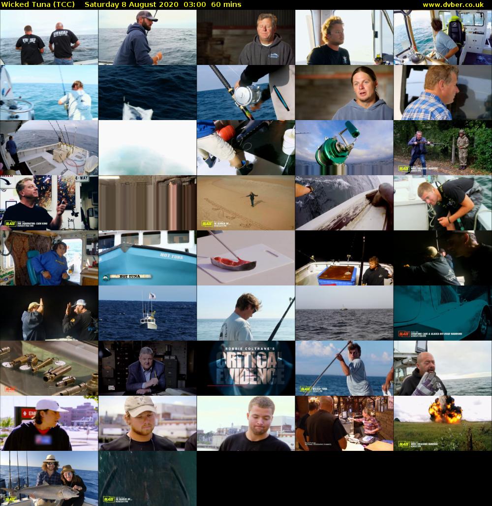 Wicked Tuna (TCC) Saturday 8 August 2020 03:00 - 04:00