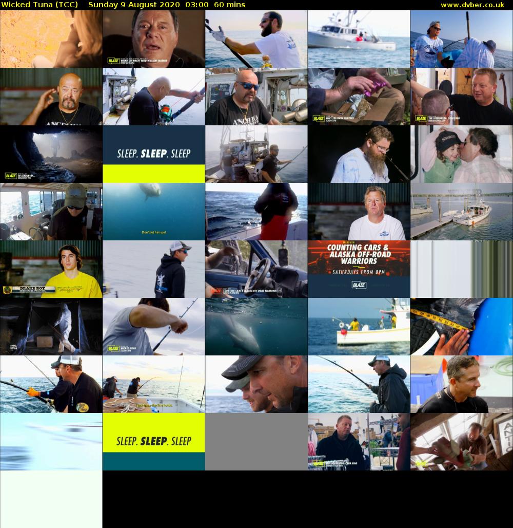 Wicked Tuna (TCC) Sunday 9 August 2020 03:00 - 04:00