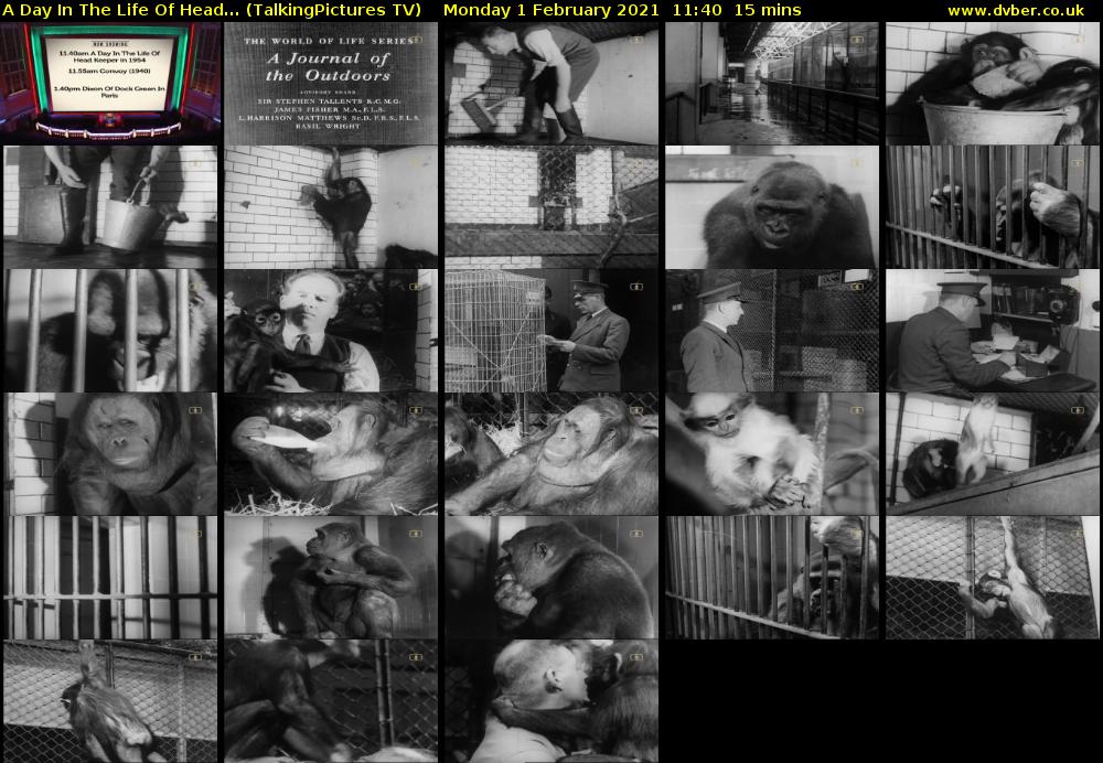 A Day In The Life Of Head... (TalkingPictures TV) Monday 1 February 2021 11:40 - 11:55