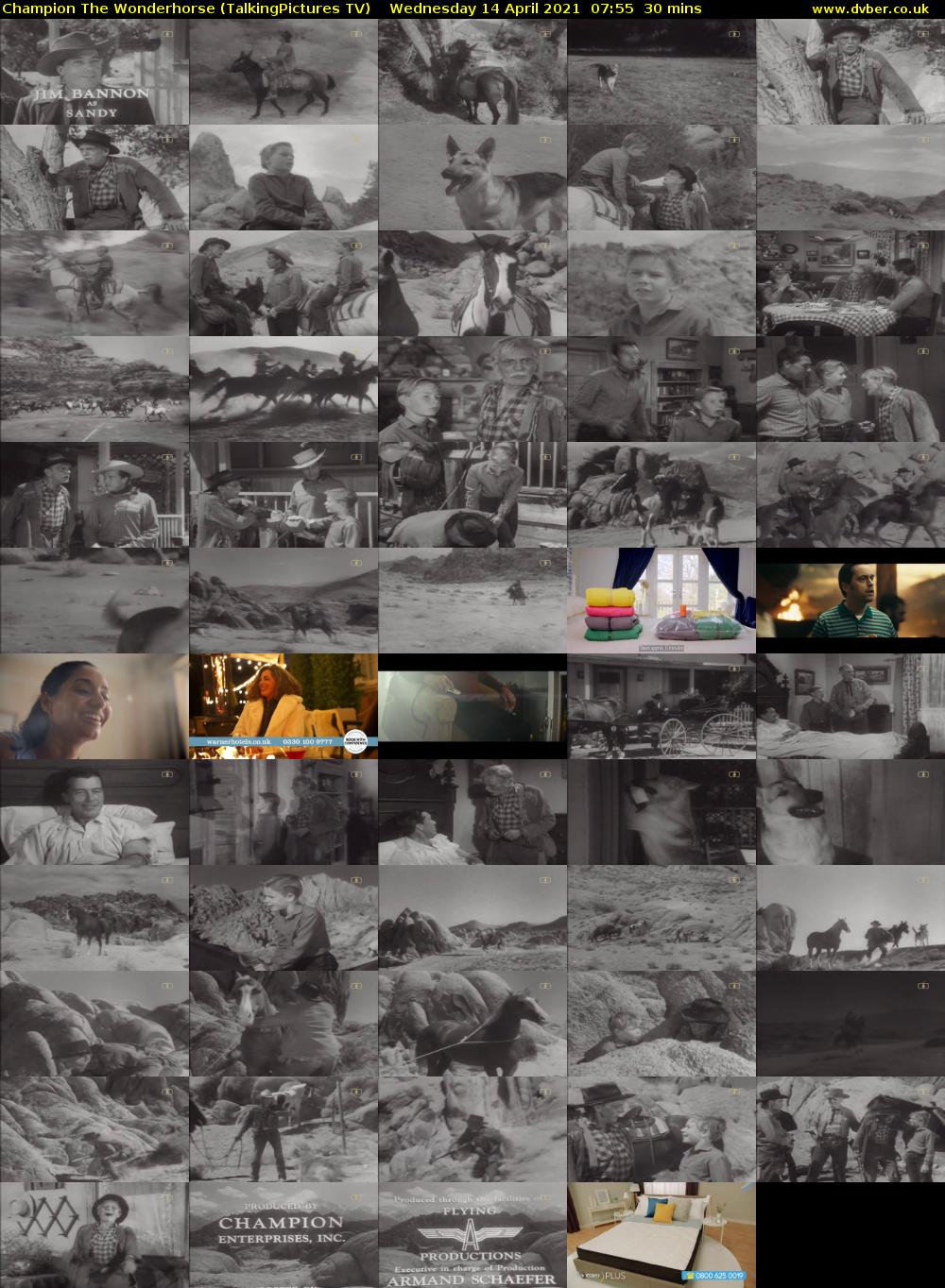 Champion The Wonderhorse (TalkingPictures TV) Wednesday 14 April 2021 07:55 - 08:25