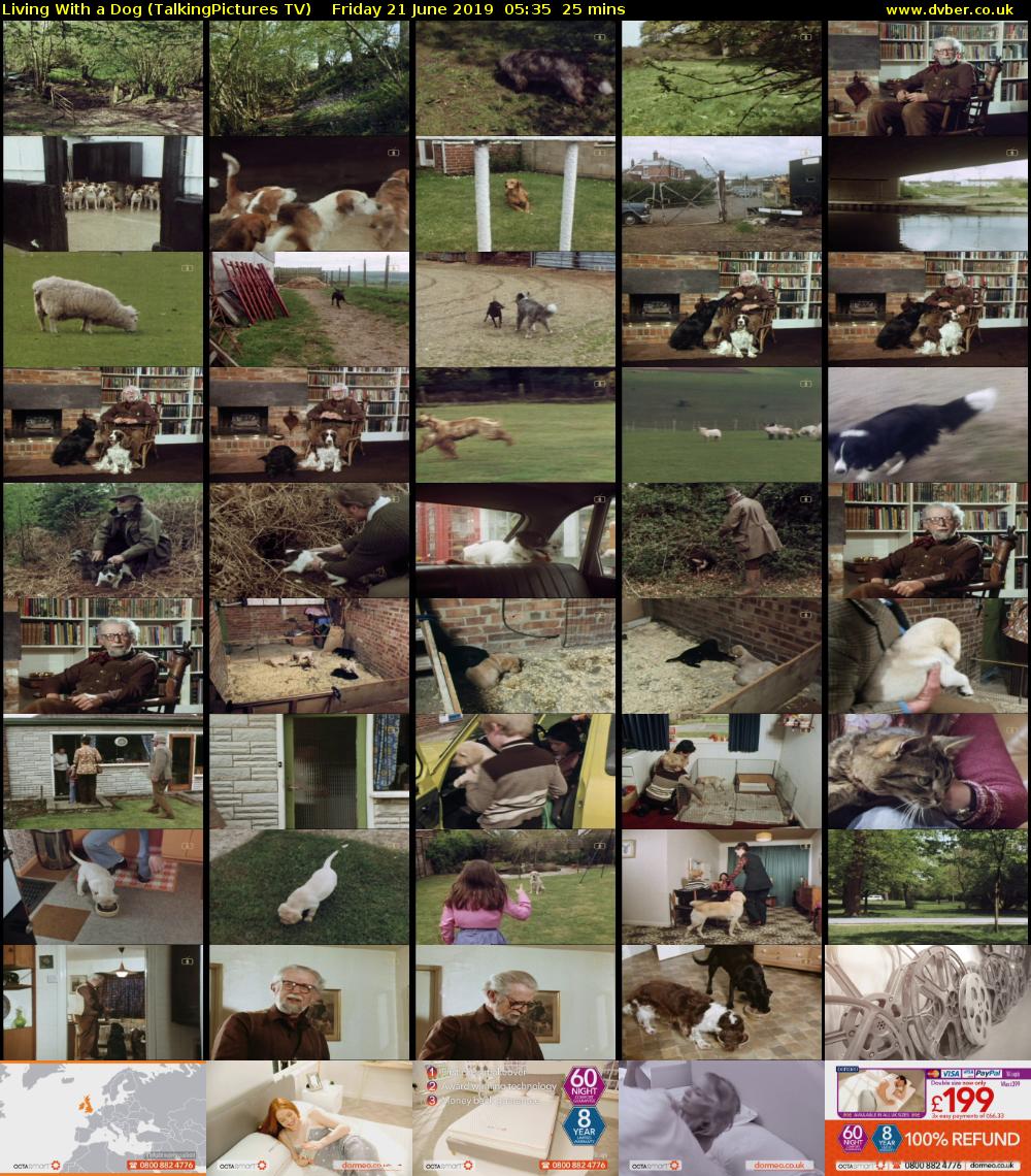 Living With a Dog (TalkingPictures TV) Friday 21 June 2019 05:35 - 06:00
