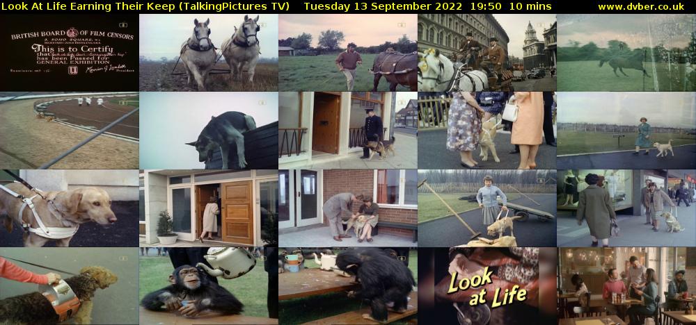 Look At Life Earning Their Keep (TalkingPictures TV) Tuesday 13 September 2022 19:50 - 20:00