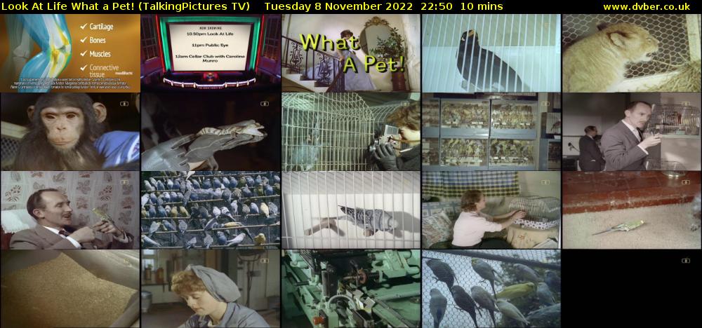 Look At Life What a Pet! (TalkingPictures TV) Tuesday 8 November 2022 22:50 - 23:00