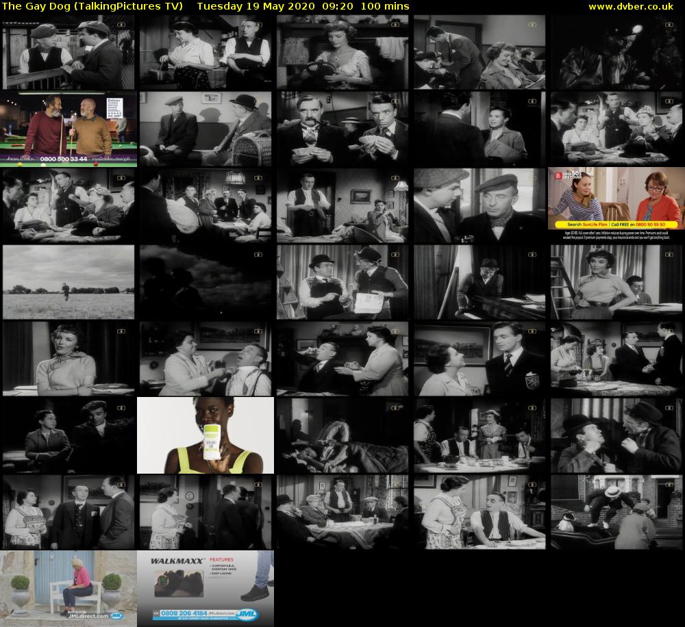 The Gay Dog (TalkingPictures TV) Tuesday 19 May 2020 09:20 - 11:00