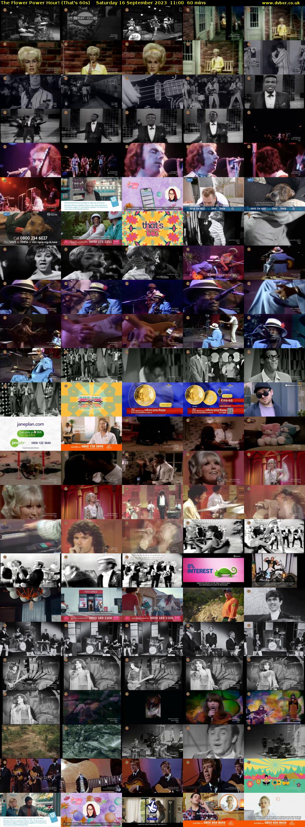 The Flower Power Hour! (That's 60s) Saturday 16 September 2023 11:00 - 12:00