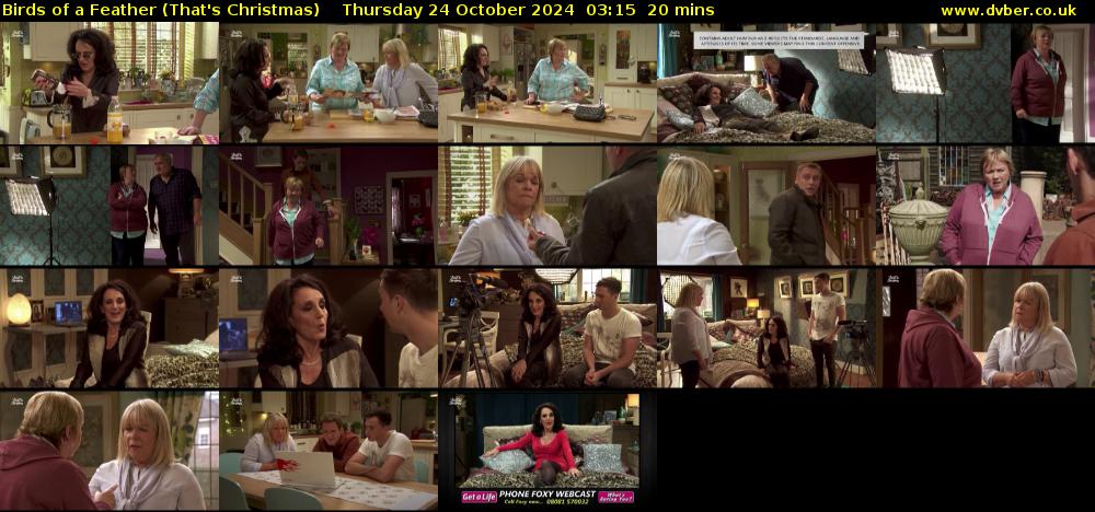 Birds of a Feather (That's Christmas) Thursday 24 October 2024 03:15 - 03:35