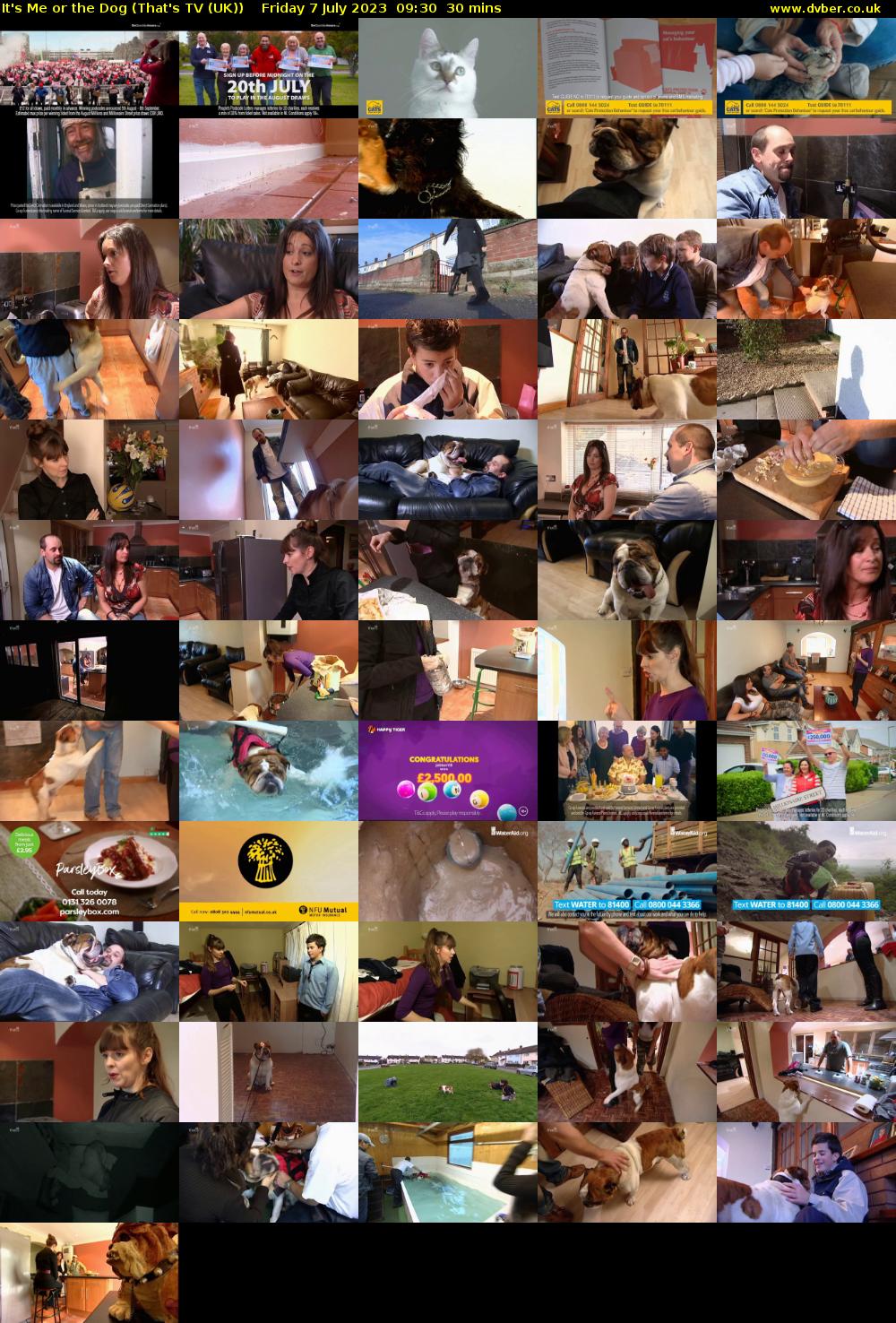 It's Me or the Dog (That's TV (UK)) Friday 7 July 2023 09:30 - 10:00