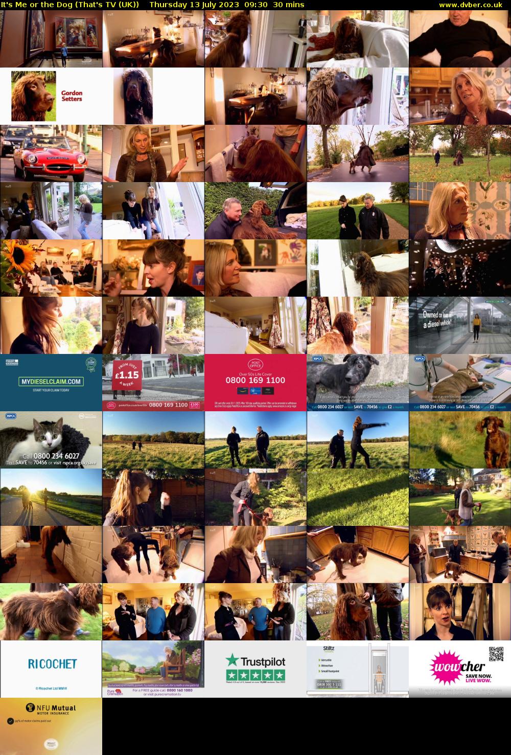 It's Me or the Dog (That's TV (UK)) Thursday 13 July 2023 09:30 - 10:00