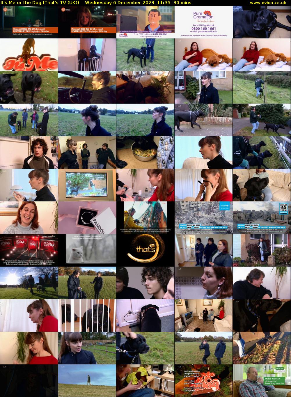 It's Me or the Dog (That's TV (UK)) Wednesday 6 December 2023 11:35 - 12:05
