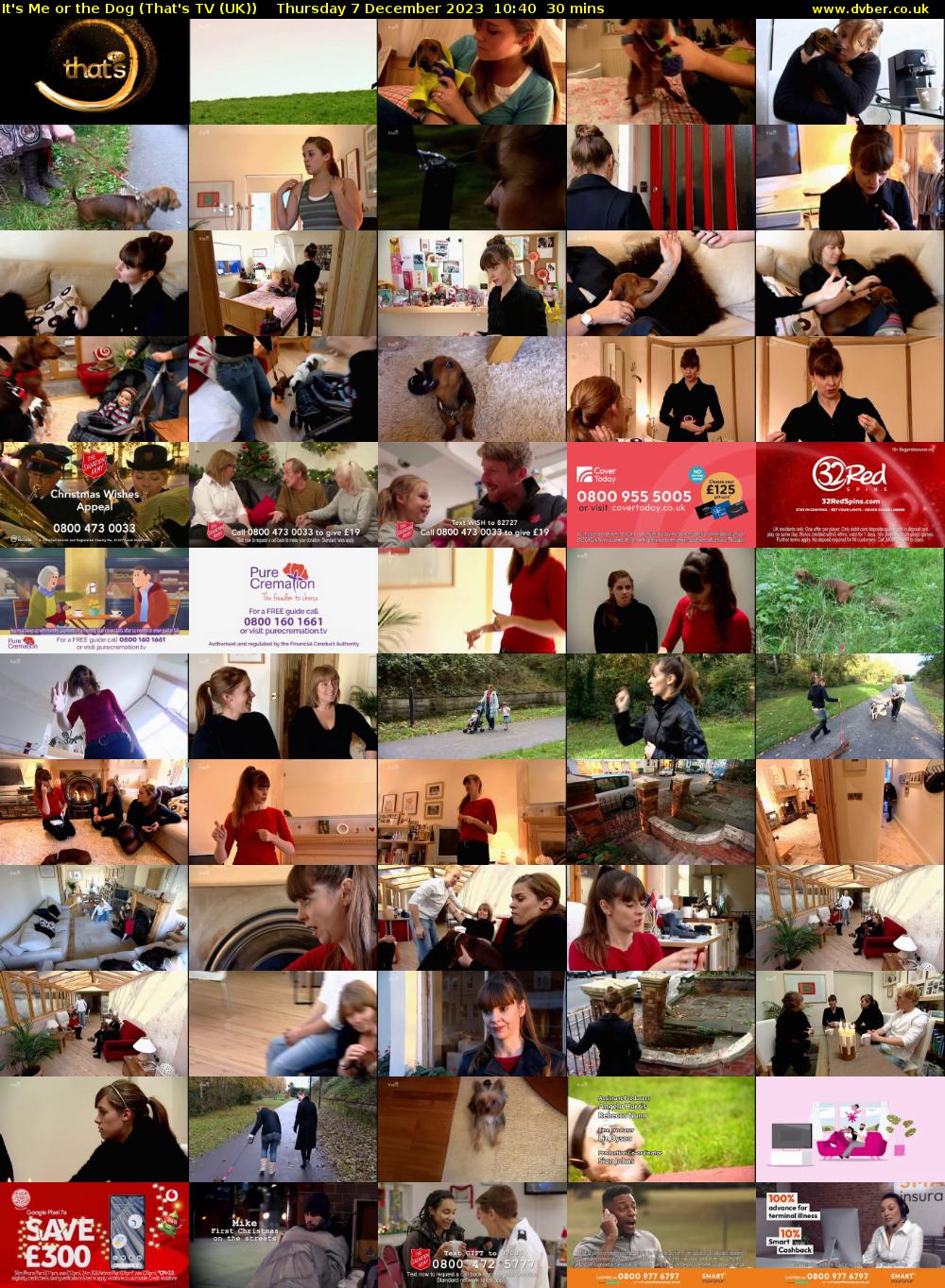 It's Me or the Dog (That's TV (UK)) Thursday 7 December 2023 10:40 - 11:10