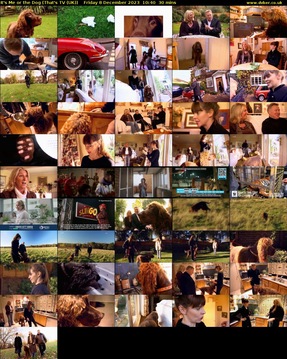 It's Me or the Dog (That's TV (UK)) Friday 8 December 2023 10:40 - 11:10