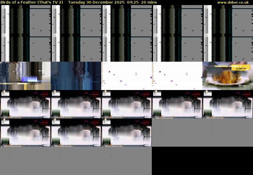 Birds of a Feather (That's TV 2) Tuesday 30 December 2025 04:25 - 04:45