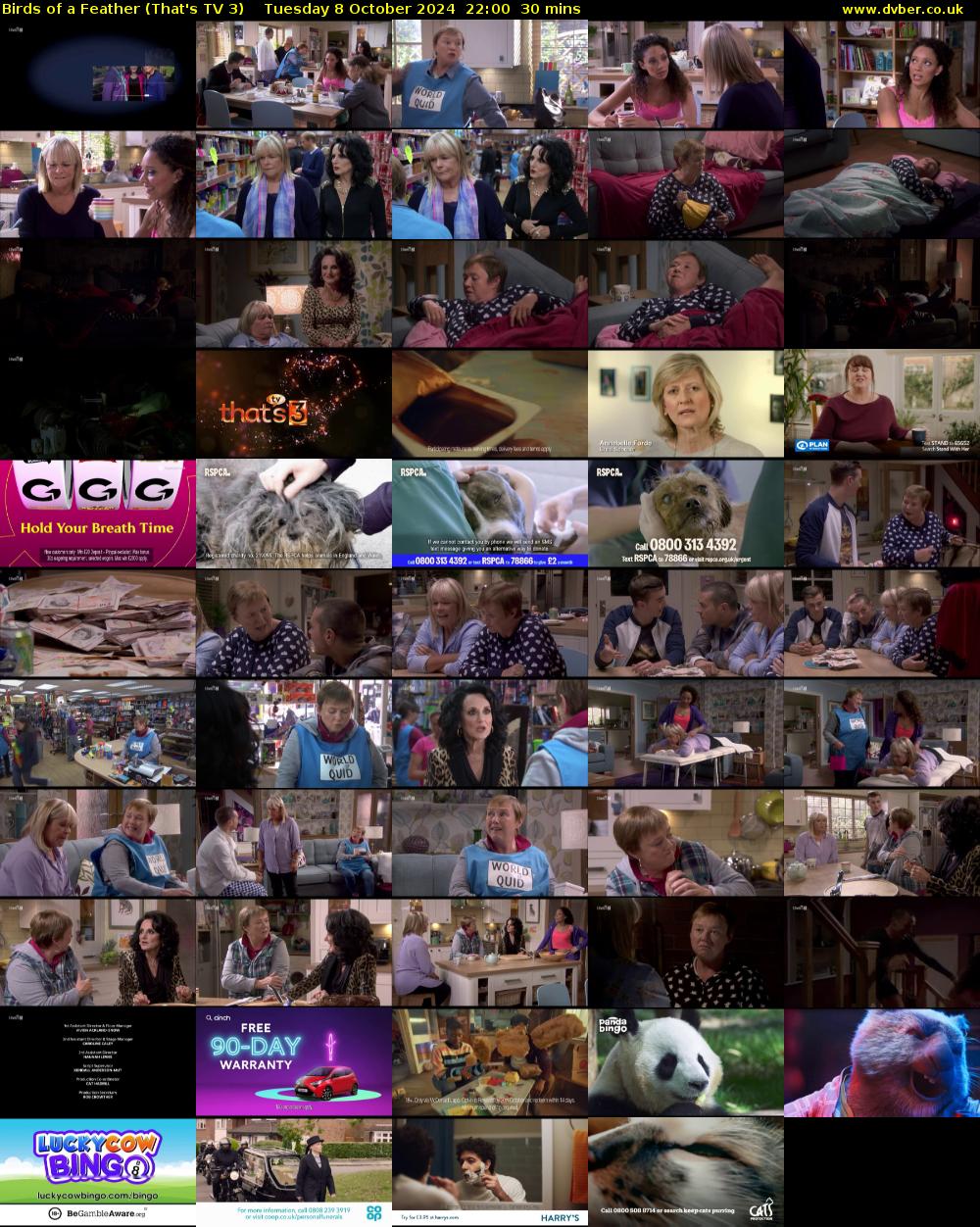Birds of a Feather (That's TV 3) Tuesday 8 October 2024 22:00 - 22:30