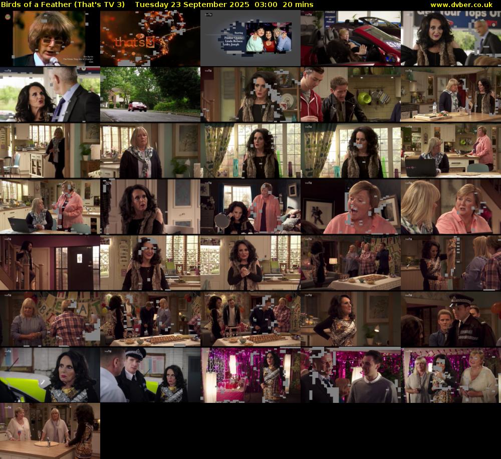 Birds of a Feather (That's TV 3) Tuesday 23 September 2025 03:00 - 03:20