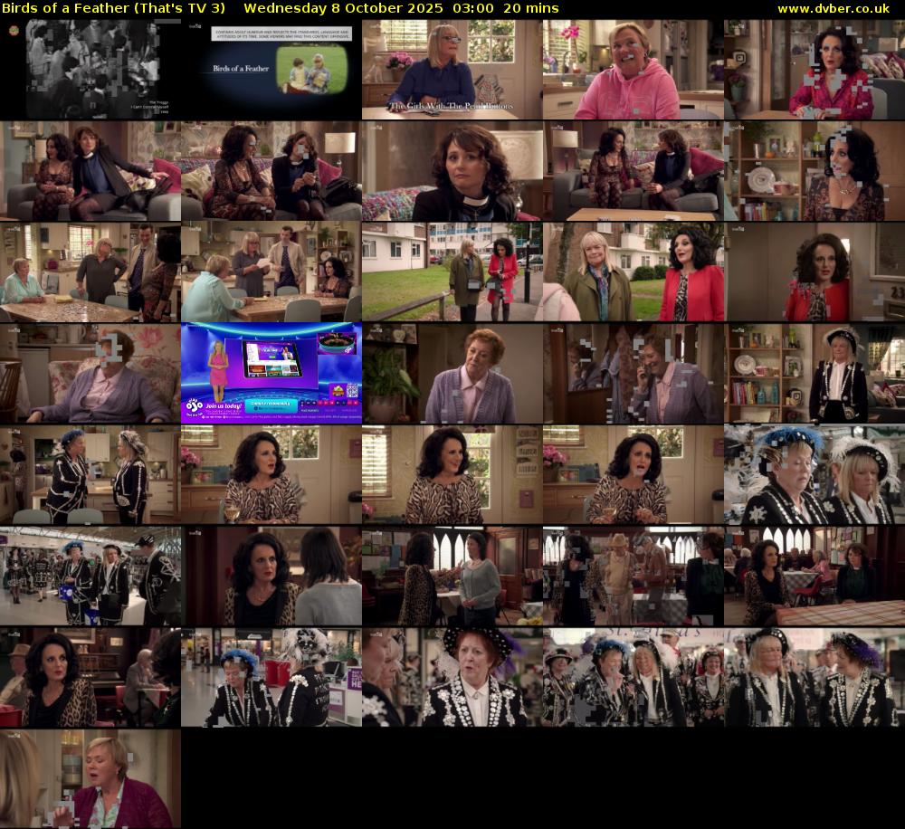 Birds of a Feather (That's TV 3) Wednesday 8 October 2025 03:00 - 03:20