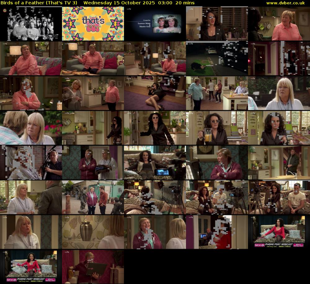 Birds of a Feather (That's TV 3) Wednesday 15 October 2025 03:00 - 03:20