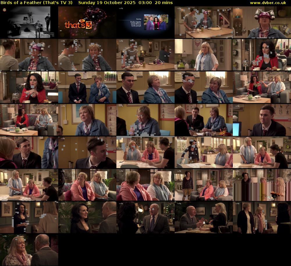 Birds of a Feather (That's TV 3) Sunday 19 October 2025 03:00 - 03:20