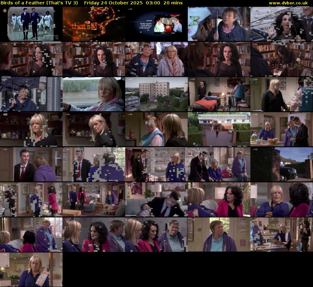 Birds of a Feather (That's TV 3) Friday 24 October 2025 03:00 - 03:20