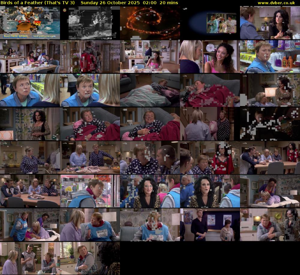 Birds of a Feather (That's TV 3) Sunday 26 October 2025 02:00 - 02:20