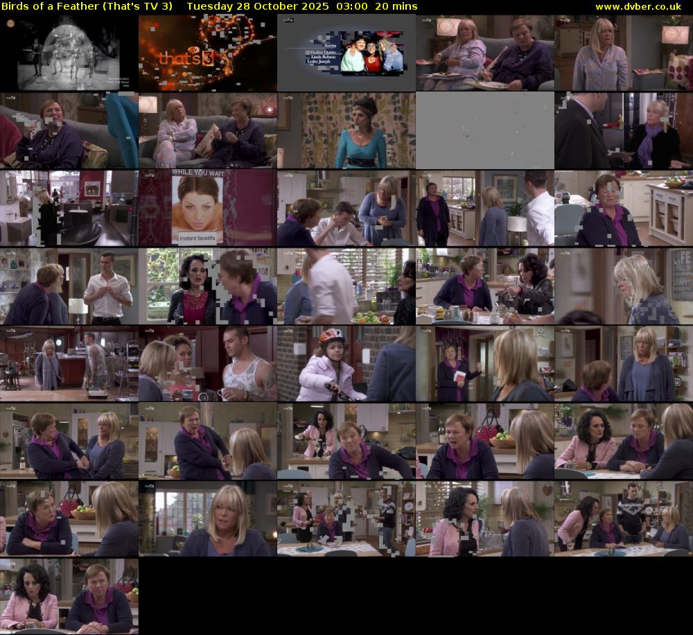 Birds of a Feather (That's TV 3) Tuesday 28 October 2025 03:00 - 03:20