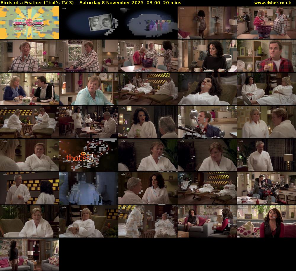 Birds of a Feather (That's TV 3) Saturday 8 November 2025 03:00 - 03:20