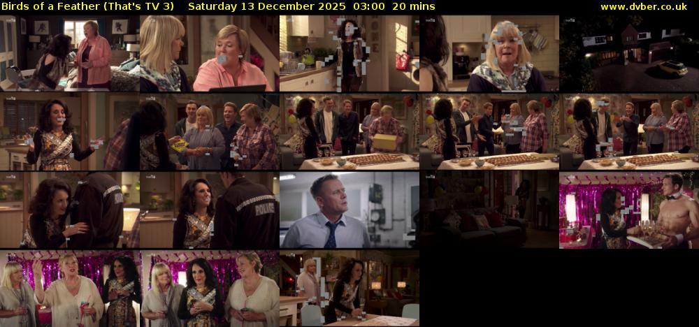 Birds of a Feather (That's TV 3) Saturday 13 December 2025 03:00 - 03:20