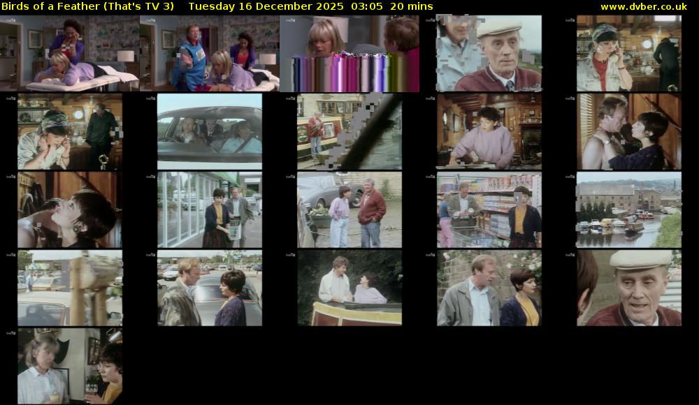 Birds of a Feather (That's TV 3) Tuesday 16 December 2025 03:05 - 03:25