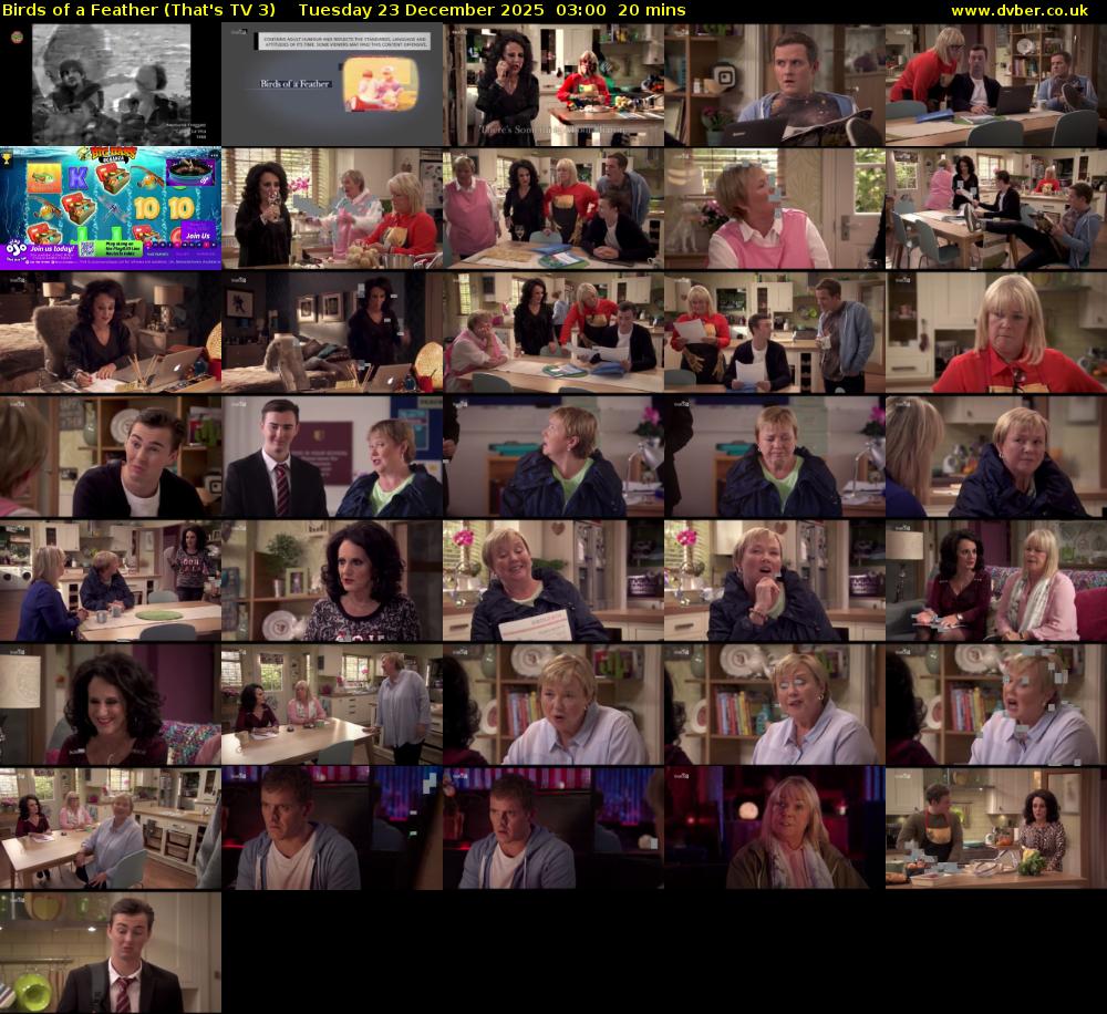 Birds of a Feather (That's TV 3) Tuesday 23 December 2025 03:00 - 03:20