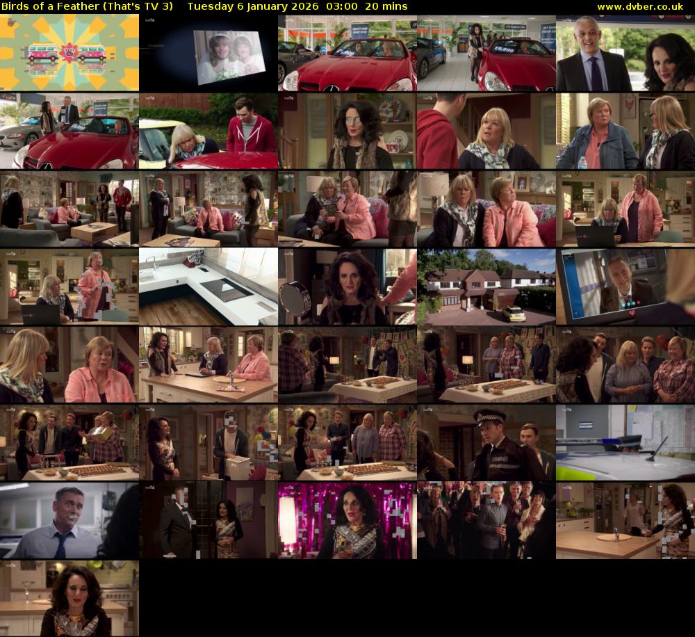 Birds of a Feather (That's TV 3) Tuesday 6 January 2026 03:00 - 03:20