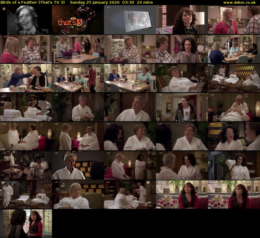 Birds of a Feather (That's TV 3) Sunday 25 January 2026 03:30 - 03:50