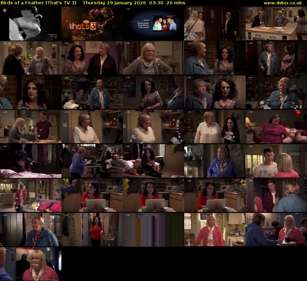 Birds of a Feather (That's TV 3) Thursday 29 January 2026 03:30 - 03:50