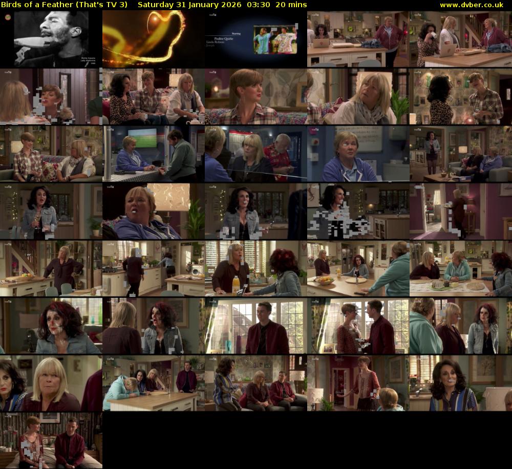 Birds of a Feather (That's TV 3) Saturday 31 January 2026 03:30 - 03:50