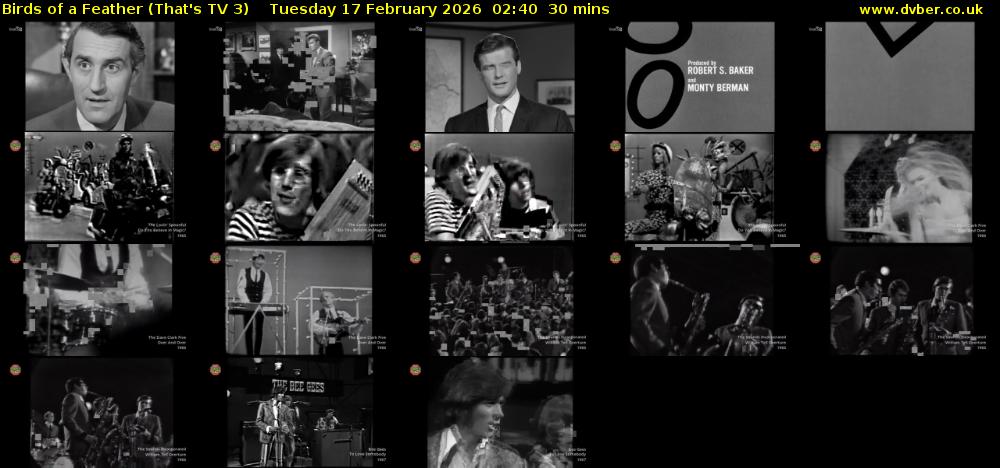 Birds of a Feather (That's TV 3) Tuesday 17 February 2026 02:40 - 03:10