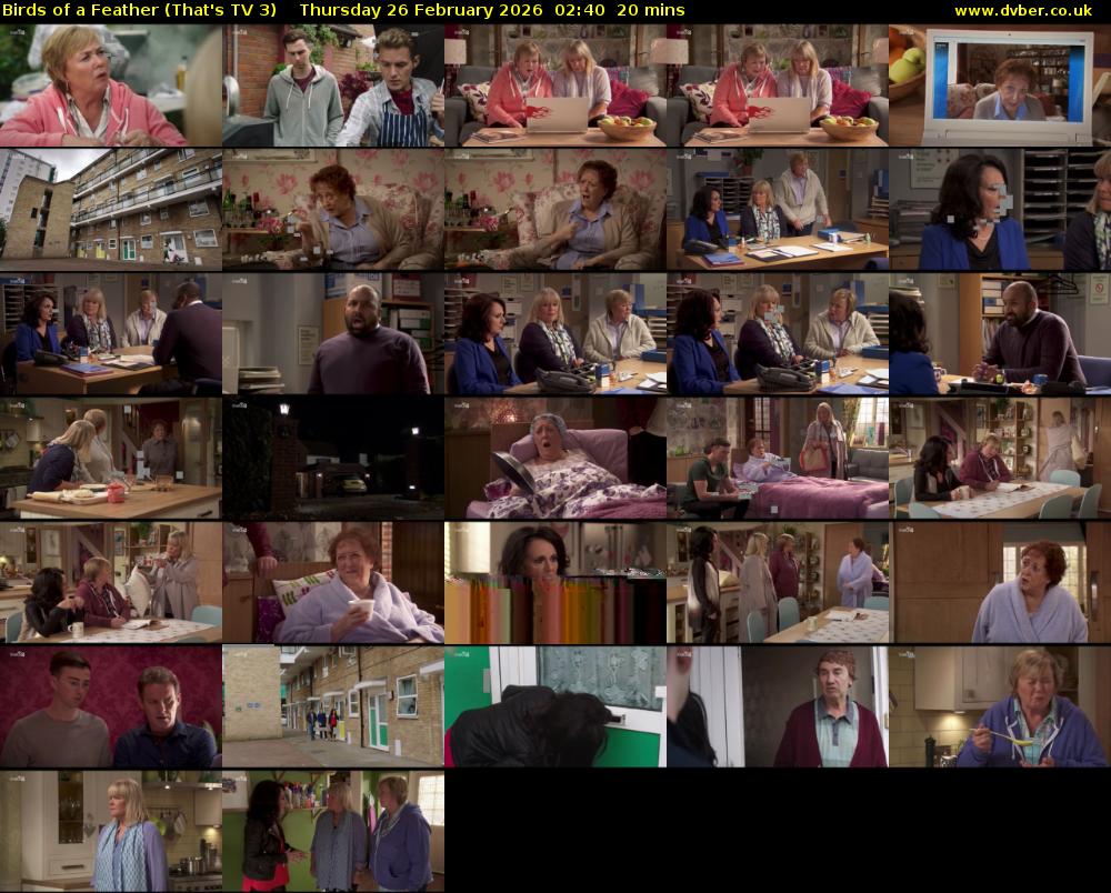 Birds of a Feather (That's TV 3) Thursday 26 February 2026 02:40 - 03:00