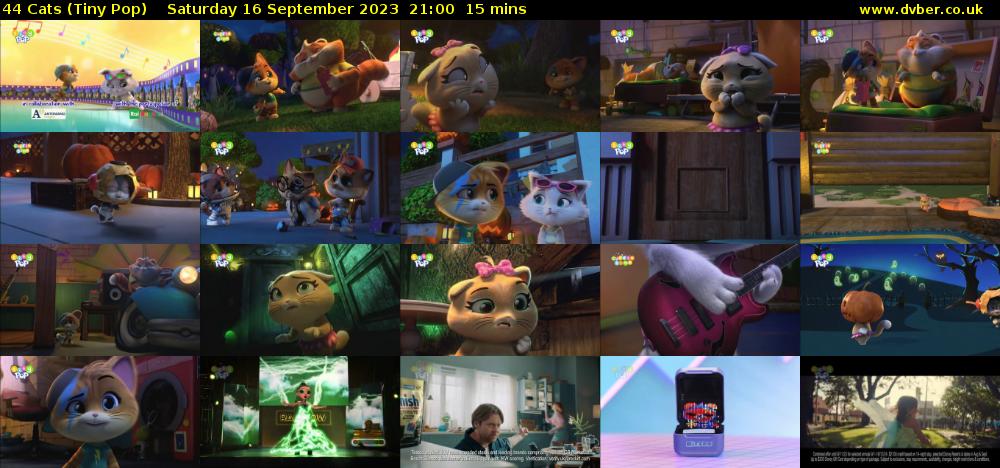 44 Cats (Tiny Pop) Saturday 16 September 2023 21:00 - 21:15