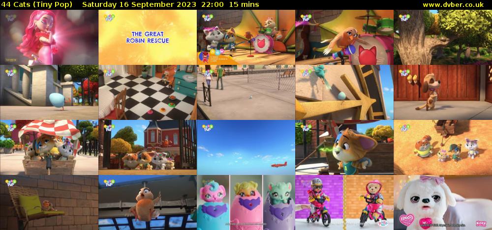 44 Cats (Tiny Pop) Saturday 16 September 2023 22:00 - 22:15