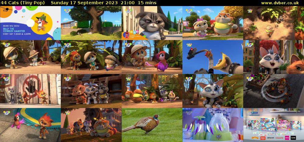 44 Cats (Tiny Pop) Sunday 17 September 2023 21:00 - 21:15