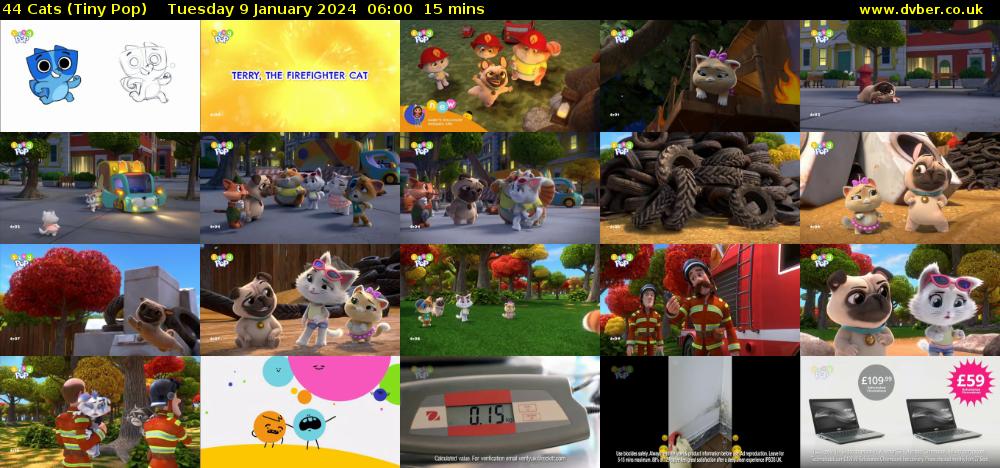 44 Cats (Tiny Pop) Tuesday 9 January 2024 06:00 - 06:15