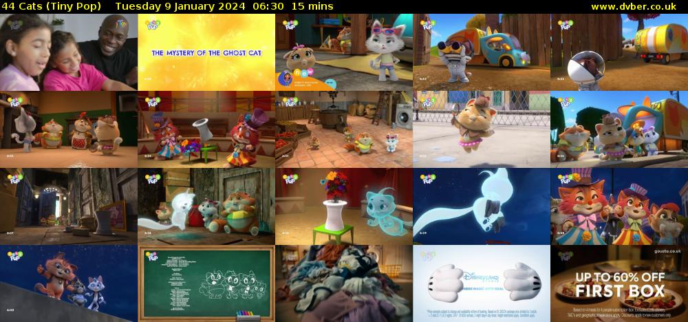 44 Cats (Tiny Pop) Tuesday 9 January 2024 06:30 - 06:45