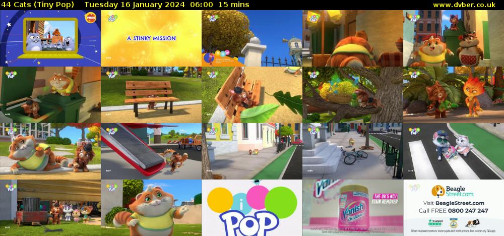 44 Cats (Tiny Pop) Tuesday 16 January 2024 06:00 - 06:15