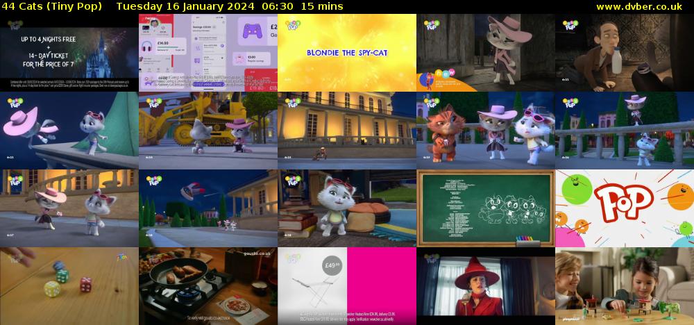 44 Cats (Tiny Pop) Tuesday 16 January 2024 06:30 - 06:45