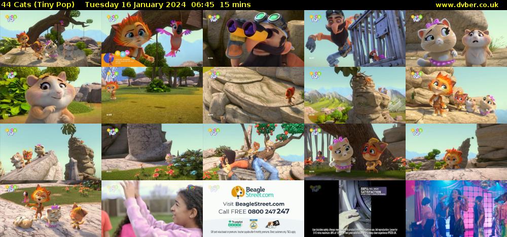 44 Cats (Tiny Pop) Tuesday 16 January 2024 06:45 - 07:00