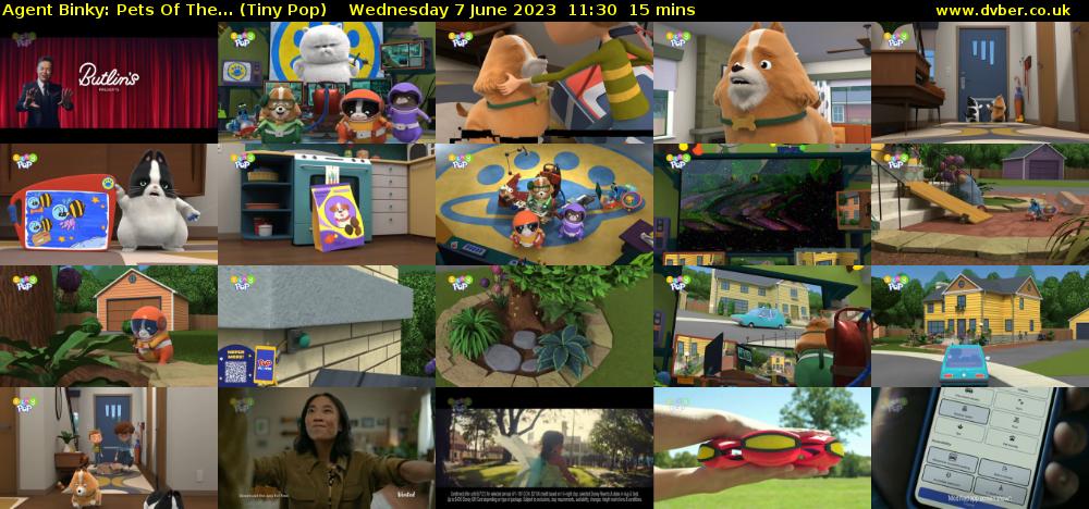 Agent Binky: Pets Of The... (Tiny Pop) Wednesday 7 June 2023 11:30 - 11:45