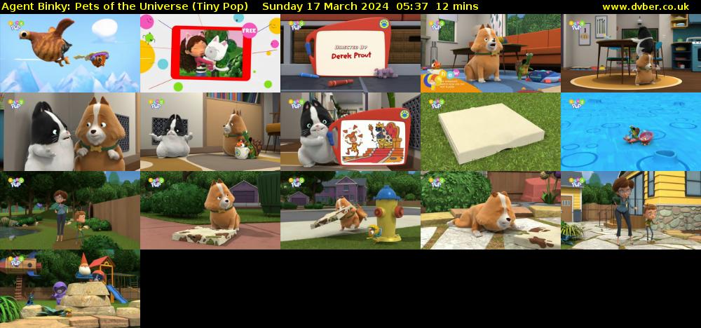 Agent Binky: Pets Of The Universe (Tiny Pop) Sunday 17 March 2024 05:37 - 05:49